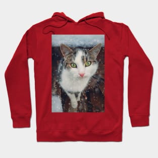 Winter season cat portrait Hoodie